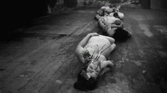 人体蜈蚣在线观看手机,惊悚悬疑，揭秘人体极限的恐怖之旅  第1张